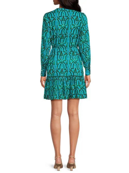 Print V-Neck Long Sleeve Button Front Mini Dress